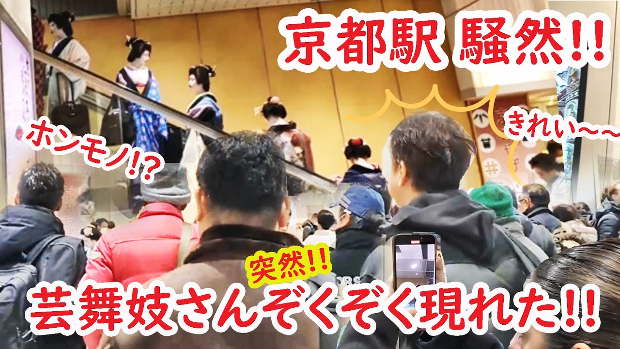 【リアルな海外の反応】外国人観光客 騒然!!突然 京都駅 新幹線ホームに続々と芸舞妓さん現れみんなびっくり仰天!!! 本物の舞妓さんに大緊張!!!