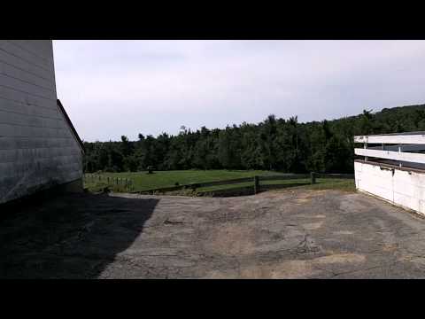Video: Bison Farm Alta Vista