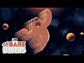 Bear facts rap  we bare bears  cartoon network