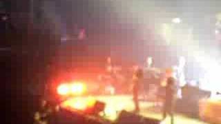 Babyshambles - Wembley 2007 - side of the road