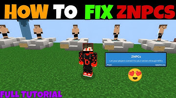 How To Add NPC In Your Server | How Fix Znpcs Spawn Problem In 2025 | In Hindi