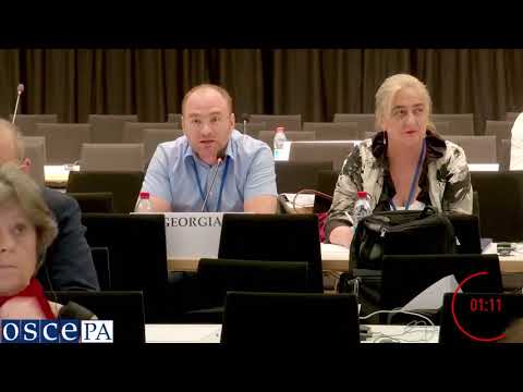 ირაკლი ბერაიას გამოსვლა ეუთო-ს საპარლამენტო ასამბლეის პოლიტიკური და უსაფრთხოების კომიტეტის სხდომაზე