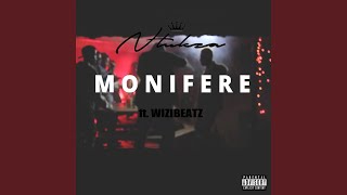 Moni Fere