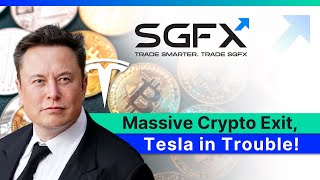 Crypto Crash, Musk Lawsuit Gold Rally Daily Market Update By Sgfx