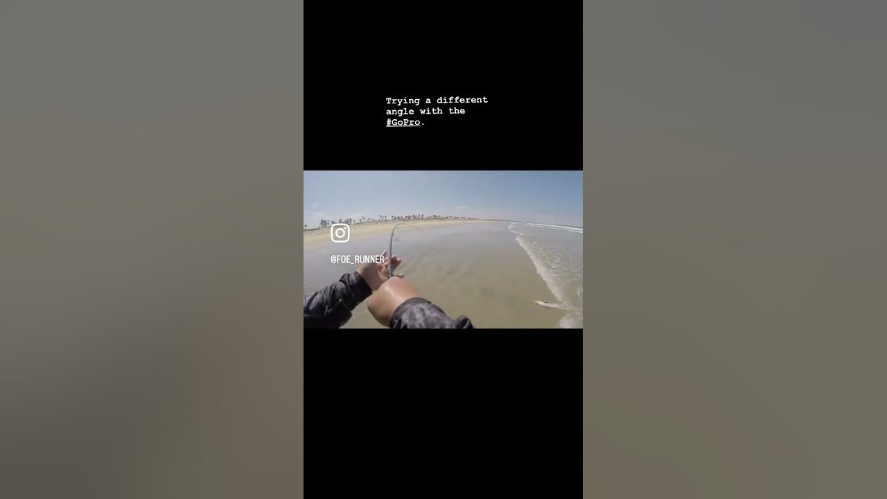 #californiasurffishing #fishingreels #beachfishing #surfperch #foe_runnerfishing