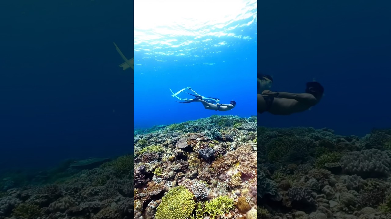 Underwater dating🧜‍♂️🧜‍♀️ #freediving #okinawatrip #スキンダイビング #沖縄観光