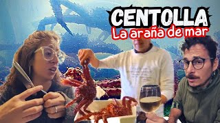 Probamos el PLATO MÁS COTIZADO de Ushuaia 🦀 La CENTOLLA | Musica Rodante by Musica rodante - Profes Viajeros  721 views 2 months ago 12 minutes, 49 seconds