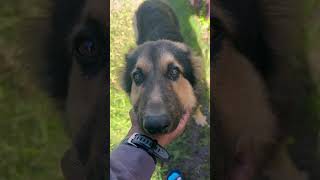 Too Pure For This World