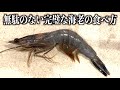 無駄のない完璧なエビの食べ方 #shorts