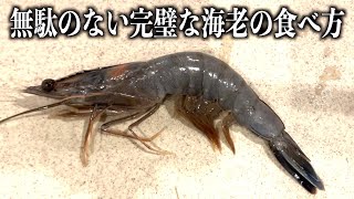 無駄のない完璧なエビの食べ方　#shorts