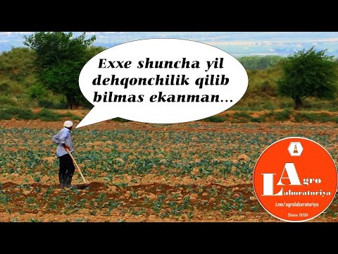 Video: Bog 'va Sabzavot Bog'i Uchun Kuzgi O'g'itlar: Qachon Qo'llanilishi Va Tuproqni Boqish Yaxshiroq