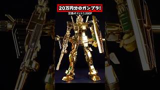 200,000 yen worth of Gunpla! Gundam Base Prize: MG Gundam ver. 3.0