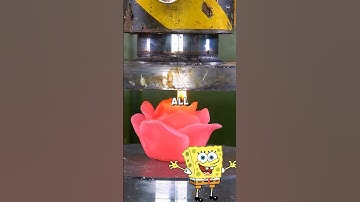 Don’t say the same thing as me 🫡 #spongebob #spongebobsquarepants #funny #luck #fyp