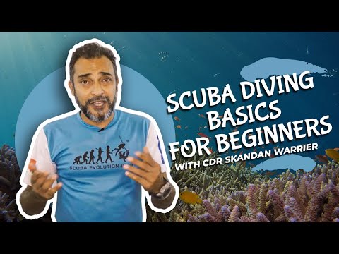 Scuba Diving Basics Explained! - video from Scuba Evolution India