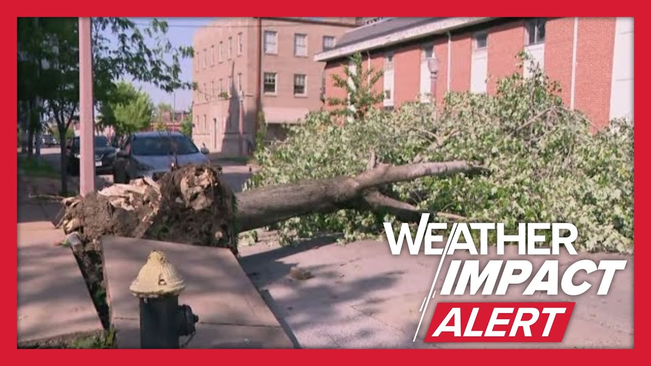 Downed trees seen on St. Louis Central West End streets after storms