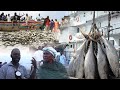 Reportage teunguedje les pcheurs contentsflicitent pr diomaye  accords et poissons en mer