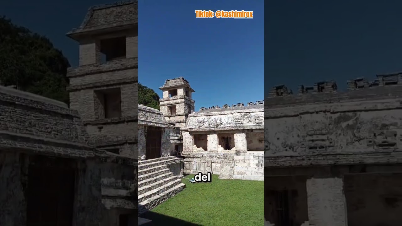#Palenque