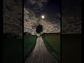 وش تبي فينا انتهينا غناء صوتك يناديني رايق جدا 