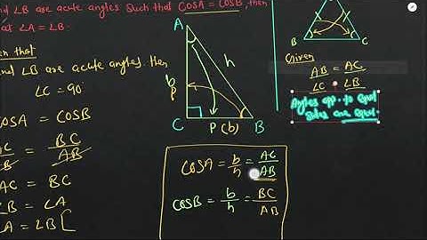Class 10 Maths Chapter 8 Ex 8.1 Q6 | Important Question For Class 10 Trigonometry | Class 10 NCERT