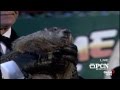 Punxsutawney Phil sees shadow predicts