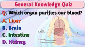 GK Question for Kids || Quiz Time || General Knowledge Questions and Answers for Kids || IQ Quiz