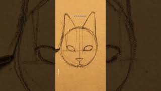 Lets Draw This Cat In A Pro Way