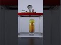 Rubber Mango inside vacuum chamber !