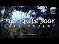 The Jungle Book | The Ambient Score