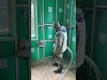 Задуваем биовату в плохую погоду. BIOVAT #стройкадома #каркасныйдом #стройка