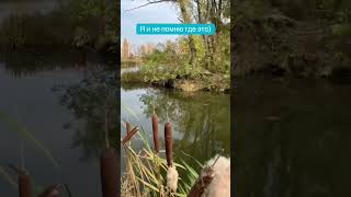 Выскочило в воспоминаниях старое видео 2020 года) )#GreenDab #газон #озеленение #автополив #полив