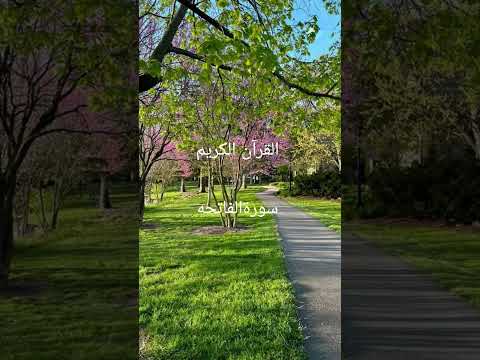  القرآن الكريم سورةالفاتحه   
