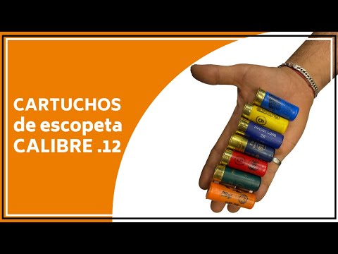 Video: ¿Cómo elegir munición de calibre 12? La mejor munición calibre 12