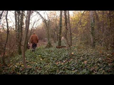 Video: Natural lake Iseo, poob rau hauv kev hlub thaum pom