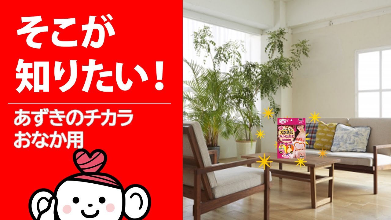 桐灰化学 あずきのチカラ おなか用 1個入 【98OFF!】 桐灰化学 あずきのチカラ おなか用 1個入 【98OFF!】