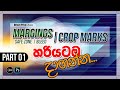 Create Margins & Crop Marks for Offset Print | Part 01 | Photoshop | Mastor