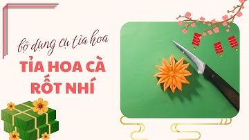 Hướng Dẫn Tỉa Hoa Cà Rốt Nhí Với Bộ Dụng Cụ Tỉa Hoa Mẹ Bảo Hân