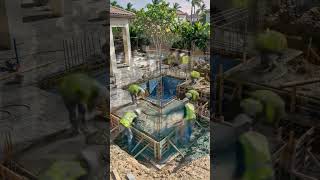 Luxury Swimming Pool Construction Timelapse 🏊‍♂️✨ | 10 Sec Amazing Build #usa #shorts #viral #ai