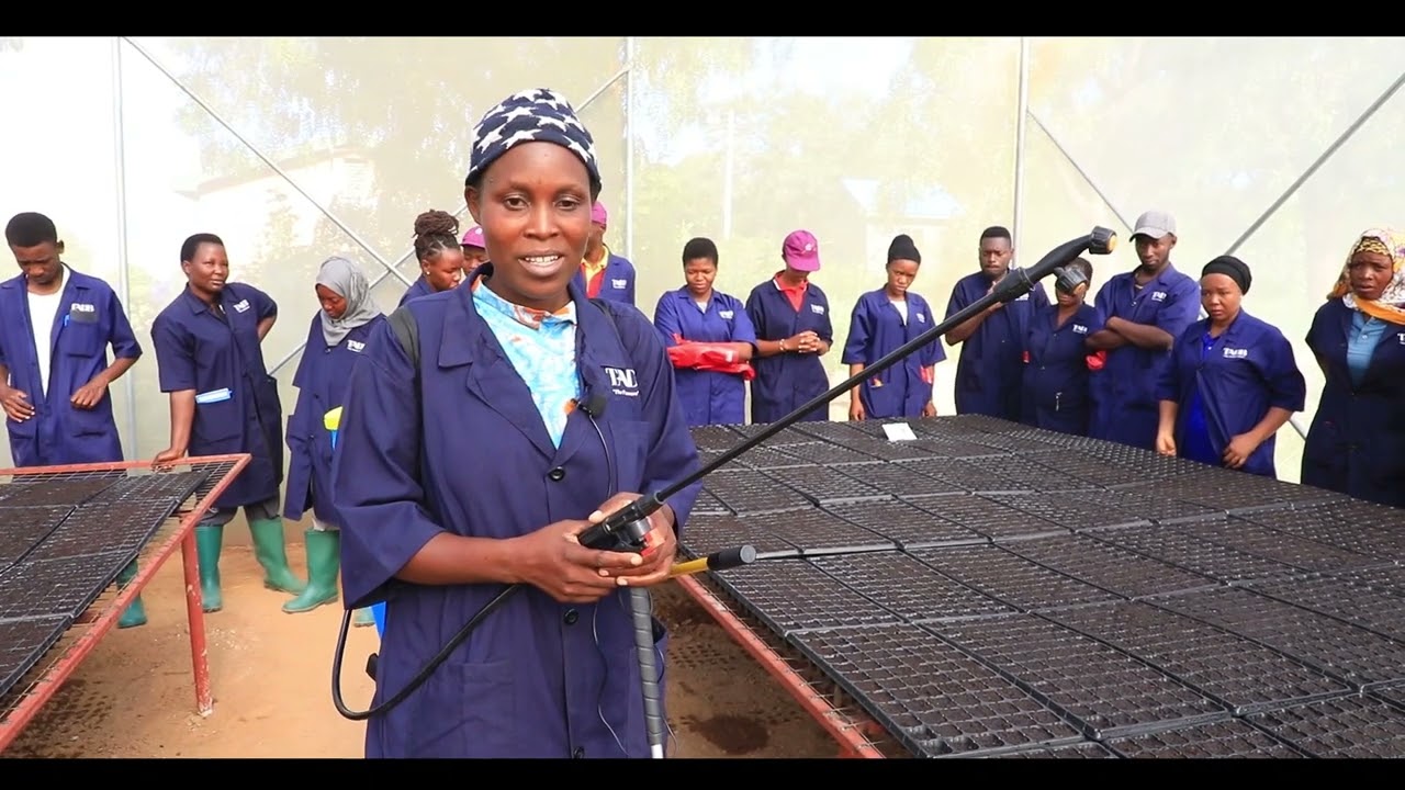 TAAZAMA JINSI VIJANA WA BBT WAKIWA KATIKA MAFUNZO YA KILIMO KATIKA VITUO ATAMIZI VYA KILIKO