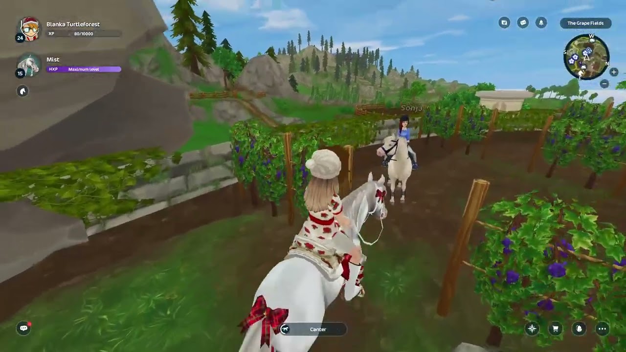 starstable silverglade manor