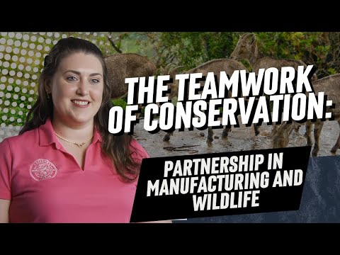 The Teamwork of Conservation: Partnership in Manufacturing and Wildlife | Partner with a Payer