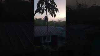 Traveling in Guyana Part CCXI