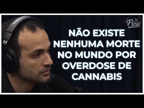 CONTRA-INDICAÇÕES DO CONSUMO DA CANNABIS | Cortes do Flow
