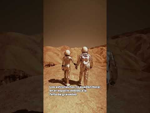 🎬 Video relacionado con astronautas inflables