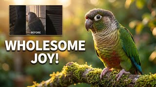 Wholesome Bird Moments to Heal Your Soul 🐥💖