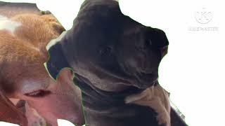 Tysons World Fight Cloud