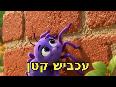 עכביש קטן