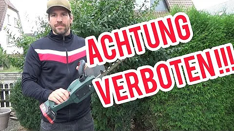 Wann darf man im Garten die Hecken schneiden?