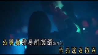 ruo yue liang mei lai dj brian bie
