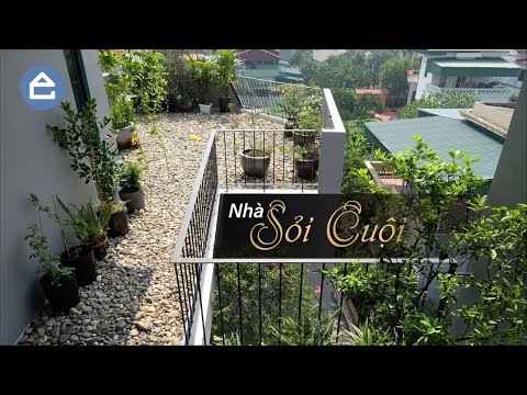 Video Nhà Sỏi Cuội - không gian sống độc đáo và tiện nghi - youtube