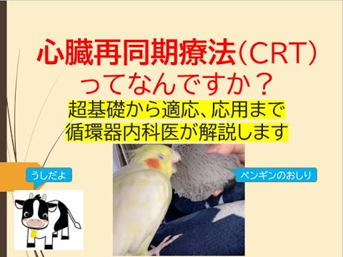 心臓再同期療法CRTってなんですか？(超基礎から適応、応用まで循環器内科医が解説します)